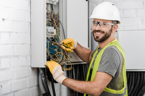 Best Electrical Upgrades for Homes  in Albion, PA
